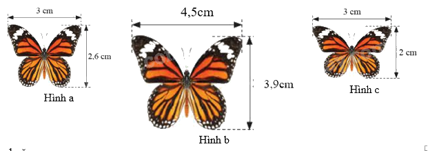 Trắc nghiệm Bài 37: Hình đồng dạng Toán 8 Kết nối tri thức 0 47