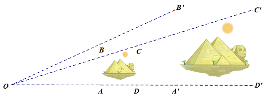 Trắc nghiệm Bài 37: Hình đồng dạng Toán 8 Kết nối tri thức 0 49