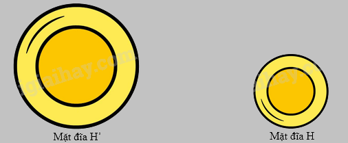 Trắc nghiệm Bài 37: Hình đồng dạng Toán 8 Kết nối tri thức 0 53