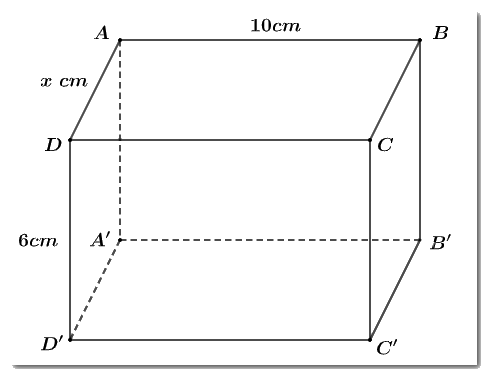 Trắc nghiệm Bài 37: Hình lăng trụ đứng tam giác và hình lăng trụ đứng tứ giác Toán 7 Kết nối tri thức 0 7