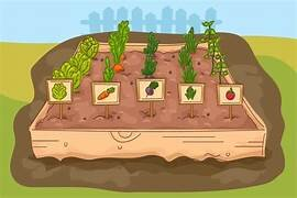 Trắc nghiệm Bài 38: Chia cho số có một chữ số Toán 4 Cánh diều 0 4