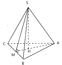 Trắc nghiệm Bài 38: Hình chóp tam giác đều Toán 8 Kết nối tri thức 0 5