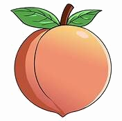 Trắc nghiệm Bài 38: Ôn tập học kì 1 Toán 4 Chân trời sáng tạo 0 17