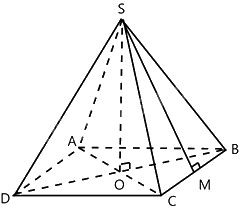 Trắc nghiệm Bài 39: Hình chóp tứ giác đều Toán 8 Kết nối tri thức 0 5