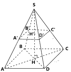 Trắc nghiệm Bài 39: Hình chóp tứ giác đều Toán 8 Kết nối tri thức 0 7