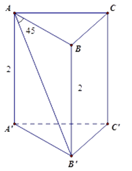 Trắc nghiệm Bài 4: Diện tích xung quanh và thể tích của hình lăng trụ đứng tam giác, lăng trụ đứng tứ giác Toán 7 Chân trời sáng tạo 0 7
