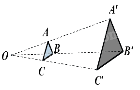 Trắc nghiệm Bài 4: Hai hình đồng dạng Toán 8 Chân trời sáng tạo 0 25