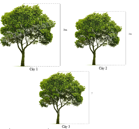 Trắc nghiệm Bài 4: Hai hình đồng dạng Toán 8 Chân trời sáng tạo 0 50