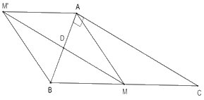 Trắc nghiệm Bài 4: Hình bình hành - Hình thoi Toán 8 Chân trời sáng tạo 0 23