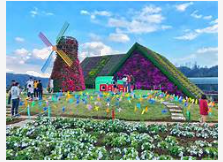 Trắc nghiệm Bài 40: Phép cộng các số tự nhiên Toán 4 Chân trời sáng tạo 0 8