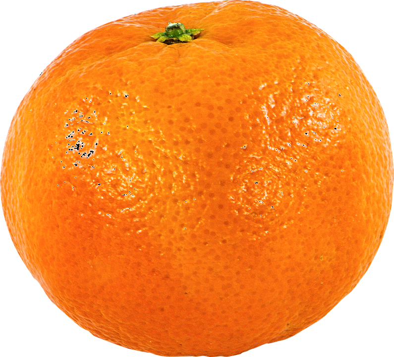 Trắc nghiệm Bài 47: Bài toán liên quan đến rút về đơn vị Toán 4 Kết nối tri thức 0 7