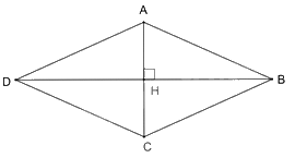 Trắc nghiệm Bài 5: Hình chữ nhật - Hình vuông Toán 8 Chân trời sáng tạo 0 14