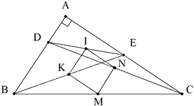 Trắc nghiệm Bài 5: Hình chữ nhật - Hình vuông Toán 8 Chân trời sáng tạo 0 25