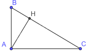 Trắc nghiệm Bài 6: Trường hợp đồng dạng thứ nhất của tam giác Toán 8 Cánh diều 0 13