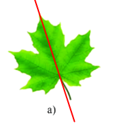 Trắc nghiệm Bài 7: Đối xứng trong thực tiễn Toán 6 Cánh diều 0 8