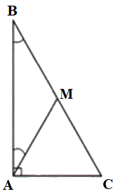 Trắc nghiệm Bài 7: Tam giác cân Toán 7 Cánh diều 0 5