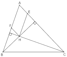 Trắc nghiệm Bài 8: Tính chất ba đường cao của tam giác Toán 7 Chân trời sáng tạo 0 1