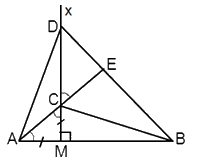 Trắc nghiệm Bài 8: Tính chất ba đường cao của tam giác Toán 7 Chân trời sáng tạo 0 12