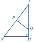 Trắc nghiệm Bài 8: Trường hợp đồng dạng thứ ba của tam giác Toán 8 Cánh diều 0 25