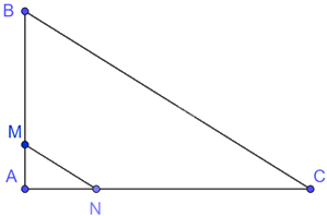 Trắc nghiệm Bài 9: Hình đồng dạng Toán 8 Cánh diều 0 12