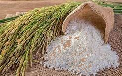 Trắc nghiệm: Bảng nhân 6 Toán 3 Chân trời sáng tạo 0 10