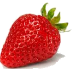 Trắc nghiệm Bảng nhân 9 Toán 3 Cánh diều 0 17