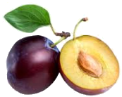 Trắc nghiệm Bảng nhân 9 Toán 3 Cánh diều 0 4