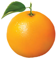 Trắc nghiệm Bảng nhân 9 Toán 3 Cánh diều 0 6