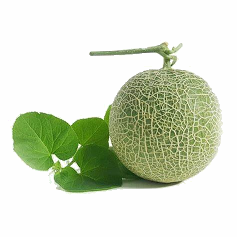 Trắc nghiệm: Chia số có năm chữ số cho số có một chữ số Toán 3 Chân trời sáng tạo 0 1