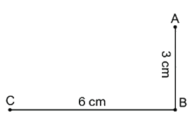 Trắc nghiệm Đường gấp khúc Toán 2 Chân trời sáng tạo 0 28