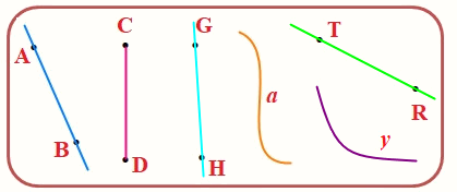 Trắc nghiệm Đường thẳng - Đường cong Toán 2 Chân trời sáng tạo 0 18
