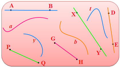 Trắc nghiệm Đường thẳng - Đường cong Toán 2 Chân trời sáng tạo 0 19