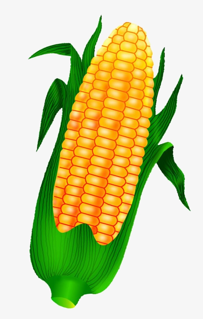 Trắc nghiệm: Gam Toán 3 chân trời sáng tạo 0 15