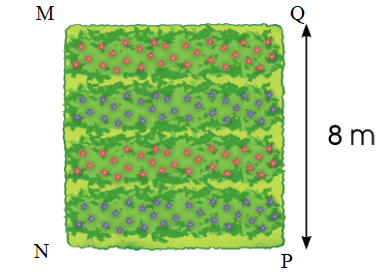Trắc nghiệm: Hình chữ nhật. Hình vuông Toán 3 cánh diều 0 4
