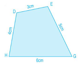 Trắc nghiệm: Hình tam giác. Hình tứ giác Toán 3 Chân trời sáng tạo 0 1