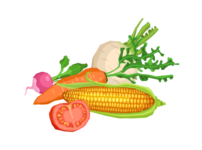 Trắc nghiệm: Làm tròn số Toán 3 Chân trời sáng tạo 0 5