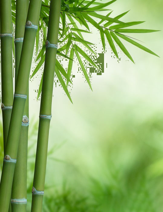 Trắc nghiệm: Mi-li-mét Toán 3 Cánh diều 0 14