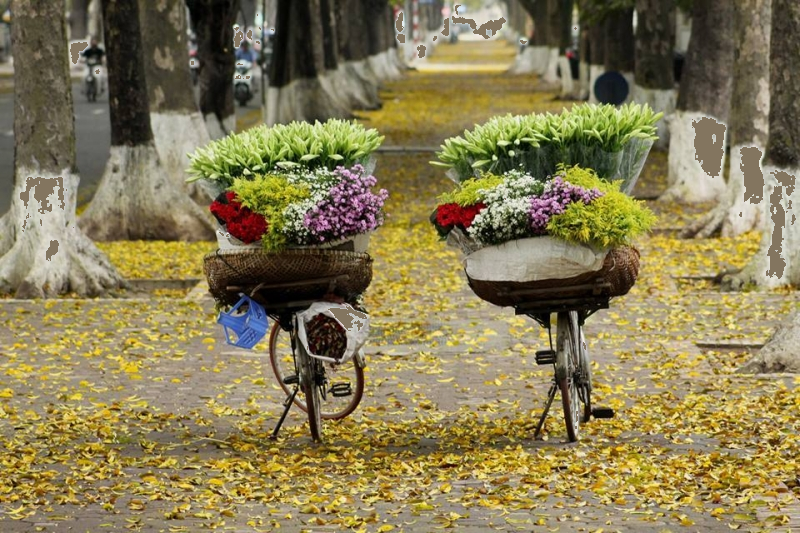 Trắc nghiệm: Nhân với số có một chữ số trong phạm vi 1 000 (tiếp theo) Toán 3 Chân trời sáng tạo 0 11