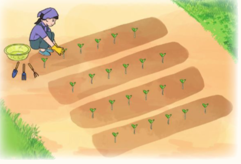 Trắc nghiệm: Ôn tập phép nhân Toán 3 Chân trời sáng tạo 0 5