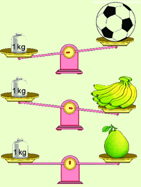 Trắc nghiệm: Ôn tập về hình học và đo lường Toán 3 Cánh diều 0 20