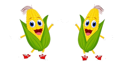 Trắc nghiệm: Phép chia hết. Phép chia có dư Toán 3 Cánh diều 0 14