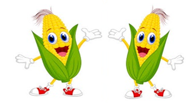 Trắc nghiệm: Phép chia hết và phép chia có dư Toán 3 Chân trời sáng tạo 0 10