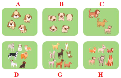 Trắc nghiệm Phép cộng có tổng bằng 10 Toán 2 Chân trời sáng tạo 0 12