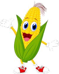 Trắc nghiệm Số hạng - Tổng Toán 2 Cánh diều 0 13