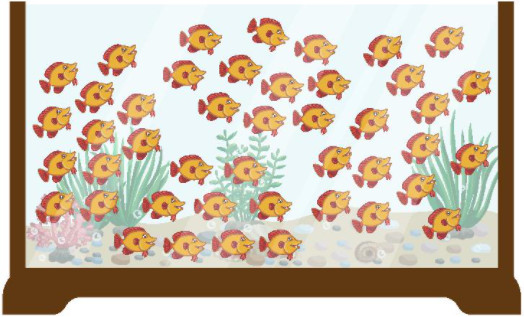 Trắc nghiệm Ước lượng Toán 2 Chân trời sáng tạo 0 11