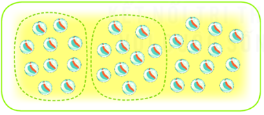 Trắc nghiệm Ước lượng Toán 2 Chân trời sáng tạo 0 13