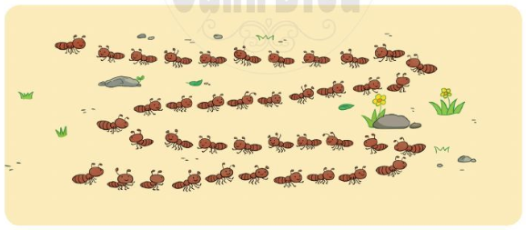 Trắc nghiệm Ước lượng Toán 2 Chân trời sáng tạo 0 10