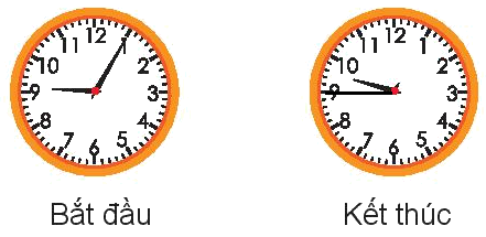Trắc nghiệm: Xem đồng hồ Toán 3 Chân trời sáng tạo 0 33