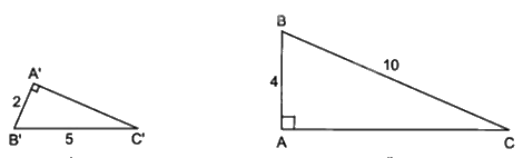 Trường hợp đồng dạng đặc biệt của tam giác vuông 2